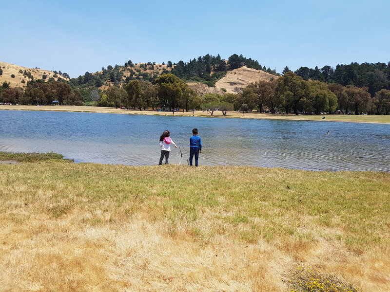 Pond on the Bay