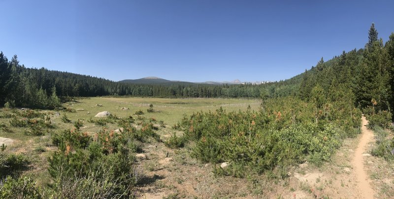 Small mountain pond surrounded by marsh land