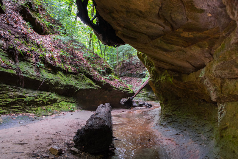 Canyon walls along the creek downstream of the Punch Bowl.