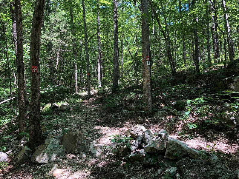 Junction OT to the right, continuing the Current River spur loop to the left