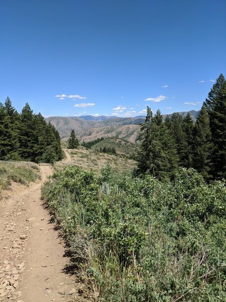 Corral Creek outlook