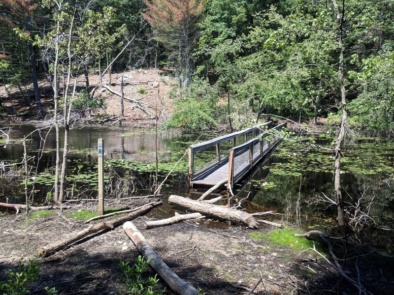 Floating bridge that is part of the yellow blaze connector over Echo Pond.