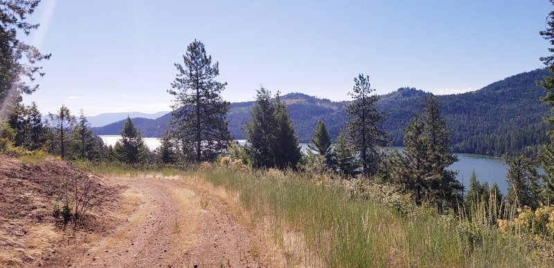 Tthe north logging road, the last section of the trail overlooking Spirit Lake.