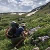 Abundant wildflowers along the entire trail, including lupine, columbine, and glacier lilies.