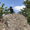 Boulders along the path at Bearfort Ridge