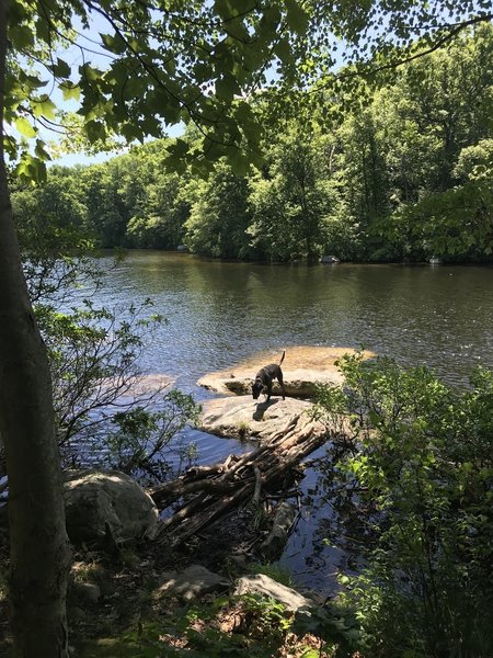 The crystal clear water of Clinton Reservoir