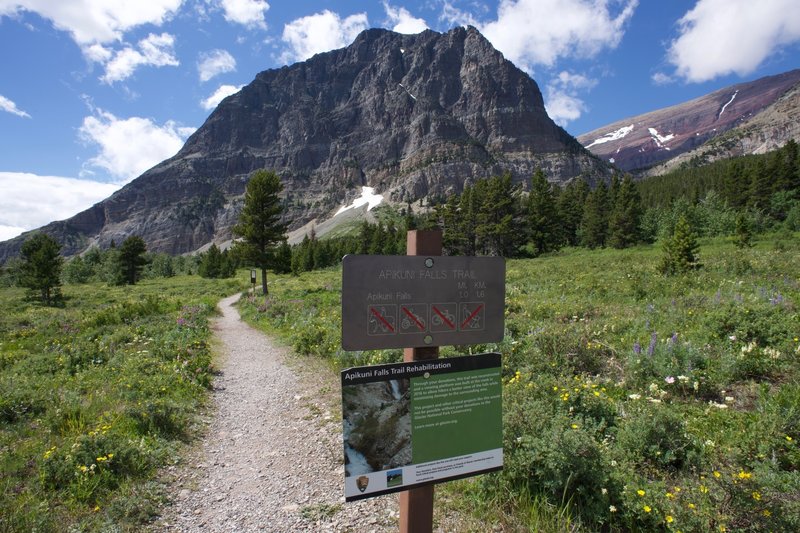 The trail starts in a meadow that is full of wildflowers in the spring. It's a nice start to a steep trail.