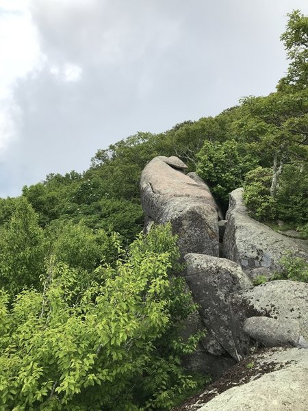 Rock outcropping near summit of Priest