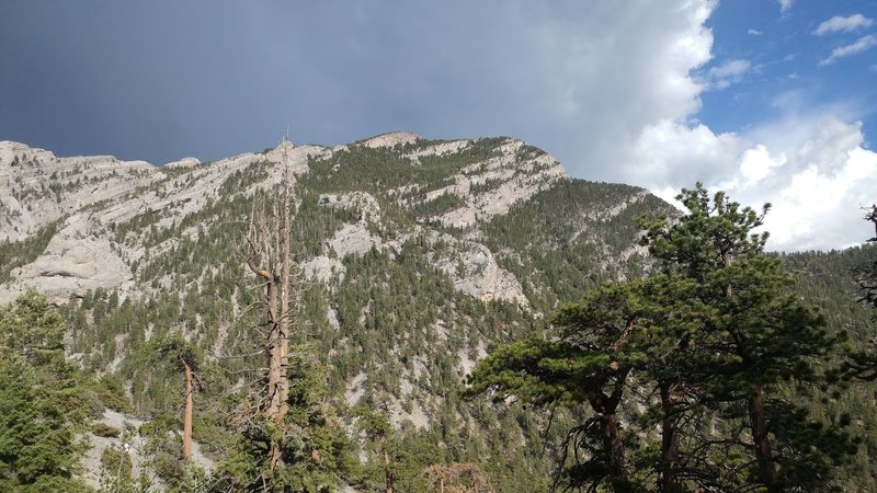 McFarland Peak from the north side.