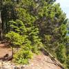 Trail along lac bibite