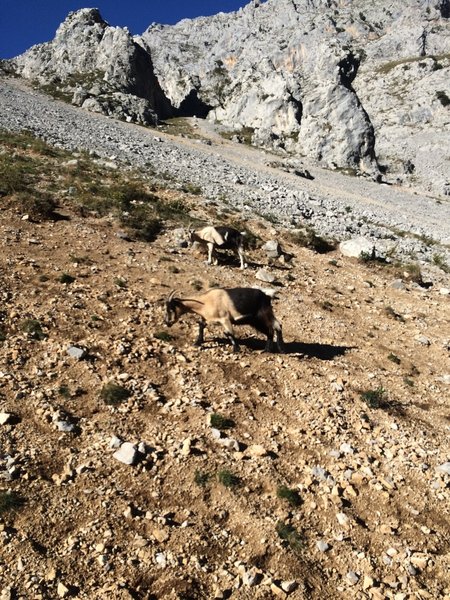 Some more locals