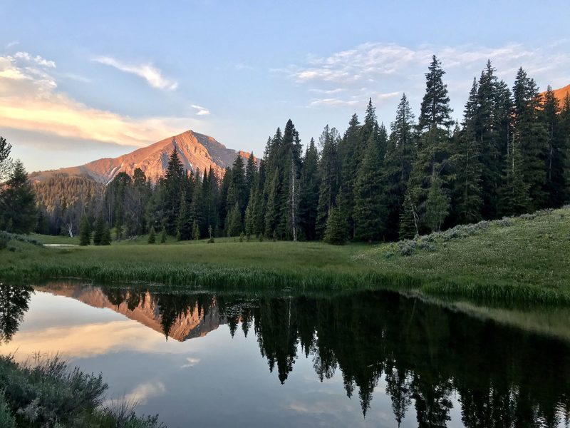 The only pond left in early July, 2018. A magical time of morning. No photoshop needed here. Only an iPhone 7 and great timing.