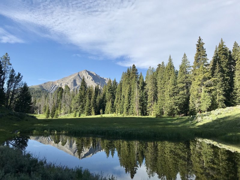 A morning view of the reflection pond, thankfully the trail over the years has diverted to this spot.