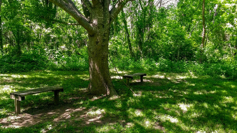 A shady place to rest and enjoy the solitude.