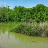 Rowlett Creek as it heads towards the lake.