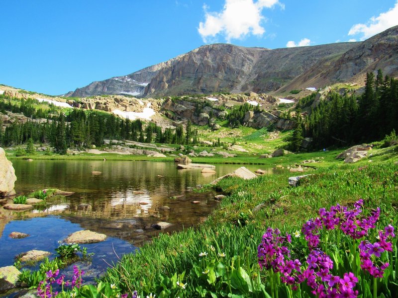 Lion Lake with Summer Wildflowers mid-July