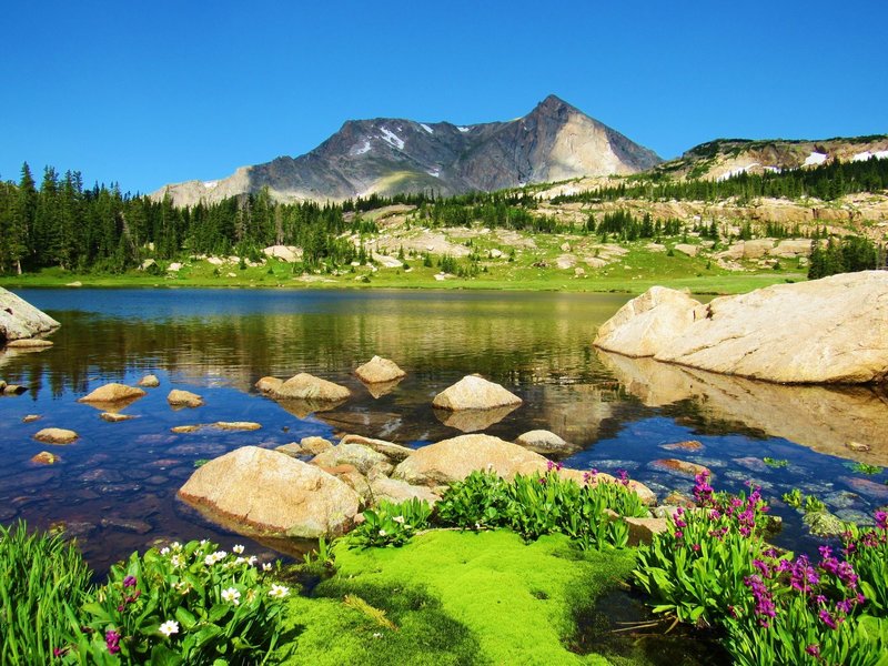 Lion Lake with Summer Wildflowers mid-July