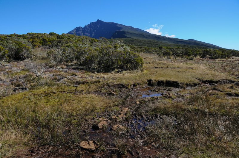 A muddy section of the trail with clear views to Piton des Neiges on a clear day