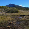 A muddy section of the trail with clear views to Piton des Neiges on a clear day