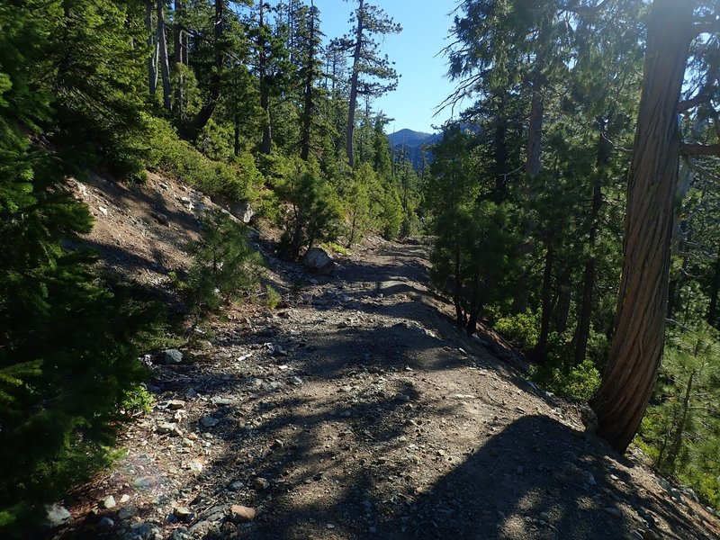 The Clear Creek Trail starts as an old road