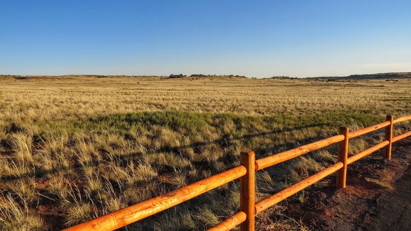 A golden hour sunset view of a grasslands plateau in the Island of the Sky Section of Canyonlands National Park, just off the Chisholm Trail.