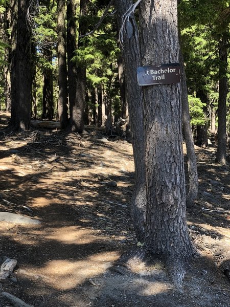 Wooded area at the beginning.