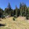 A small meadow along the trail.