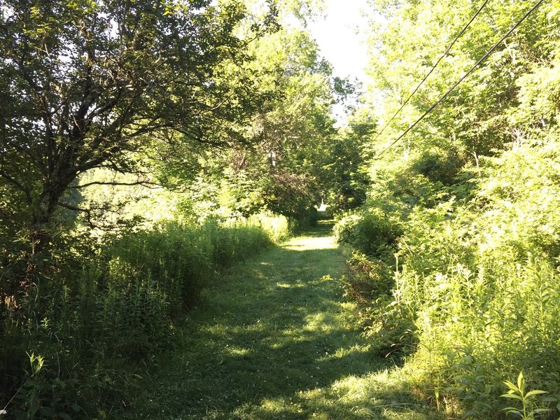 Old rail trail section