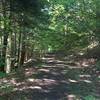 Continued rail trail. Can be muddy in sections and faint remnants of old railroad ties can be felt in places.