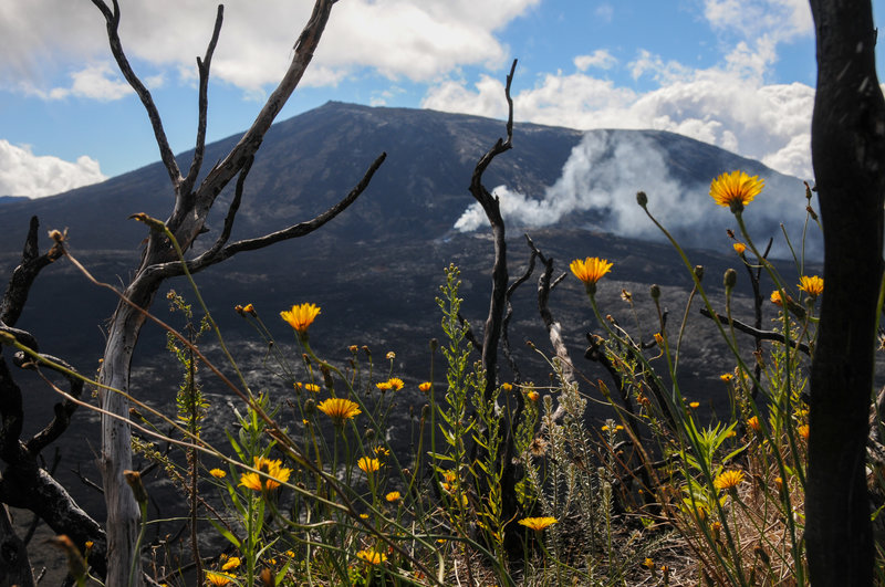 Piton de la Fournaise from the area burned by lava from the 2018 eruption which still emits smoke in the distance.