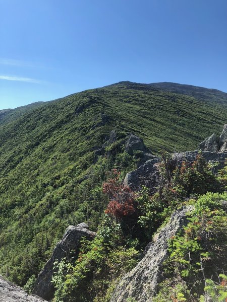 Looking up the ridge from the Castles and the summit.