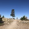 Top of the ridge before descewnding to the lake.