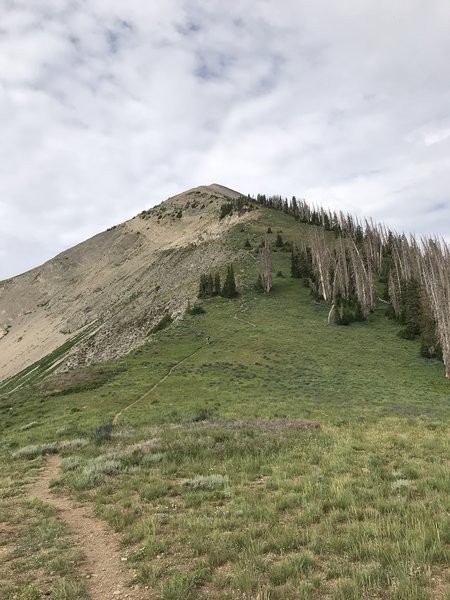 Mt. Nebo saddle looking towards the first peak.