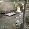 Crossing the dried up creek bed with Cooper.