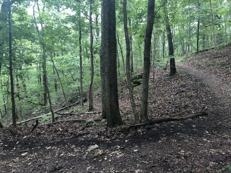 On the descent, near the end of the trail.