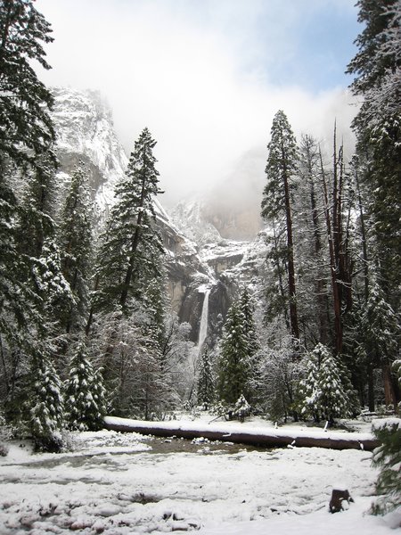 Lower Yosemite Falls in the snow.