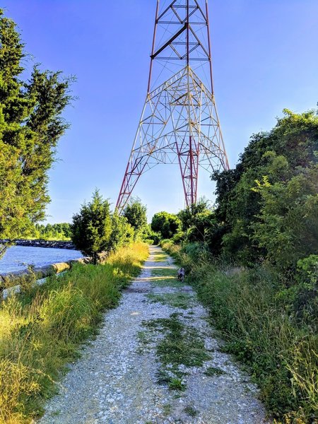 Chesapeake Bay side of trail radio tower