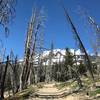 Mount Adams south climb trail