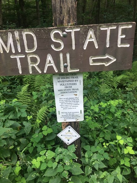 Trail marker