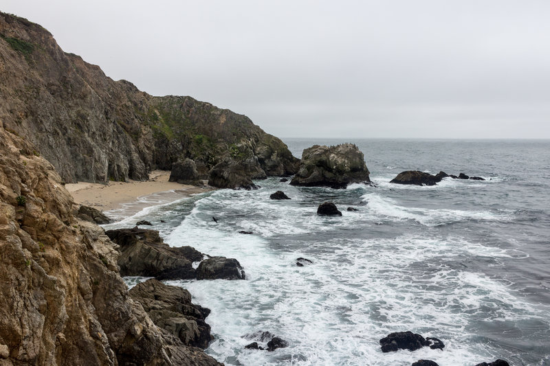 View from Tomales Point