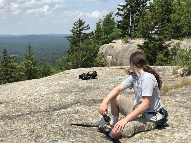 Summit of Cat Mountain looking north