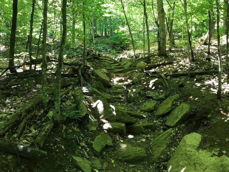 Rock steps on Mt Arab Trail