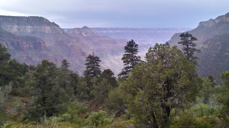 Looking towards the South Rim from the upper part of the Old Bright Angel Trail.