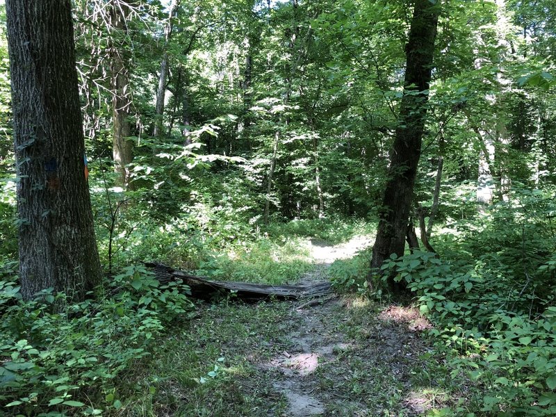 Only wild forest on Fort Leavenworth.  A great feeling to get into the woods so close to home.