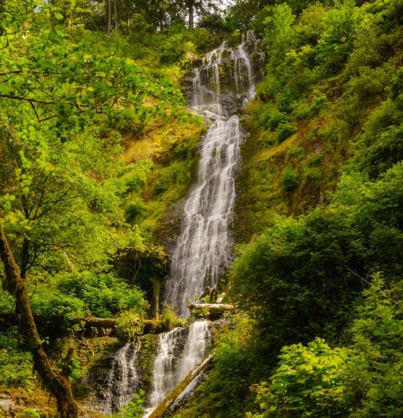 Munson Creek Falls