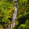 Munson Creek Falls