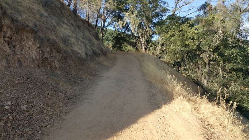 Looking up Oat Hill Mine Trail