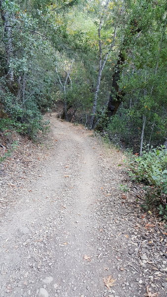 View after about 40 minutes up from trailhead.