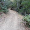 View after about 40 minutes up from trailhead.