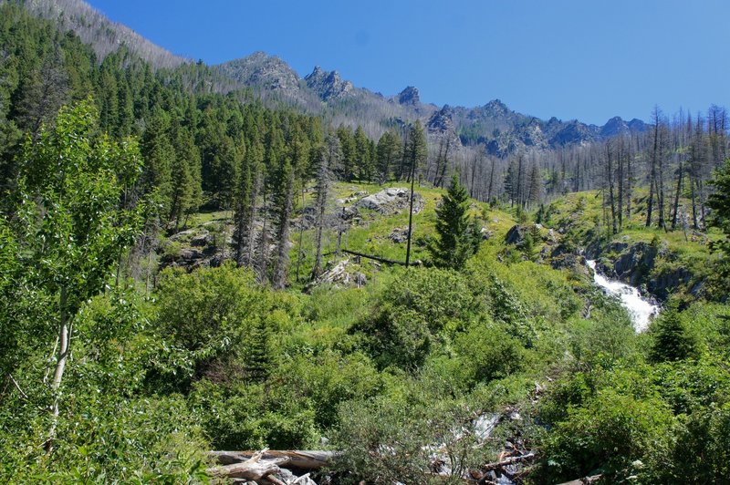 Verdant summer on Pine Creek